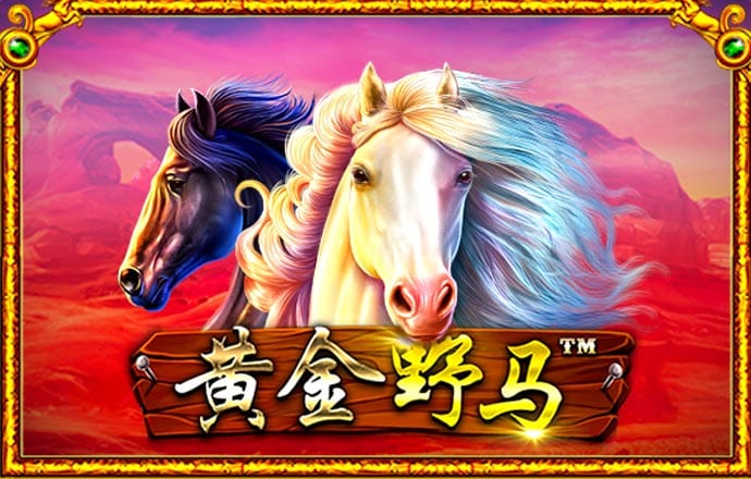 恒信彩注册登录官网入口